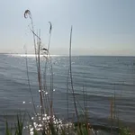 Am Haff By Interhome Casa vacanze *